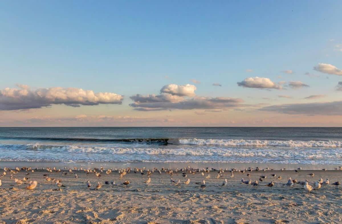 *All New & Awesome View*King Bed*Pools*Hot Tubs*Lazy River*M149 Myrtle Beach Exteriör bild